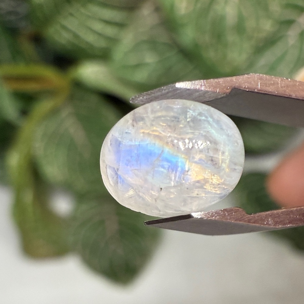 Rainbow Moonstone Cabochon